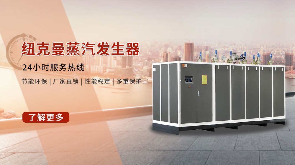 山东产蒸汽发生器震撼上市，高效环保必看！