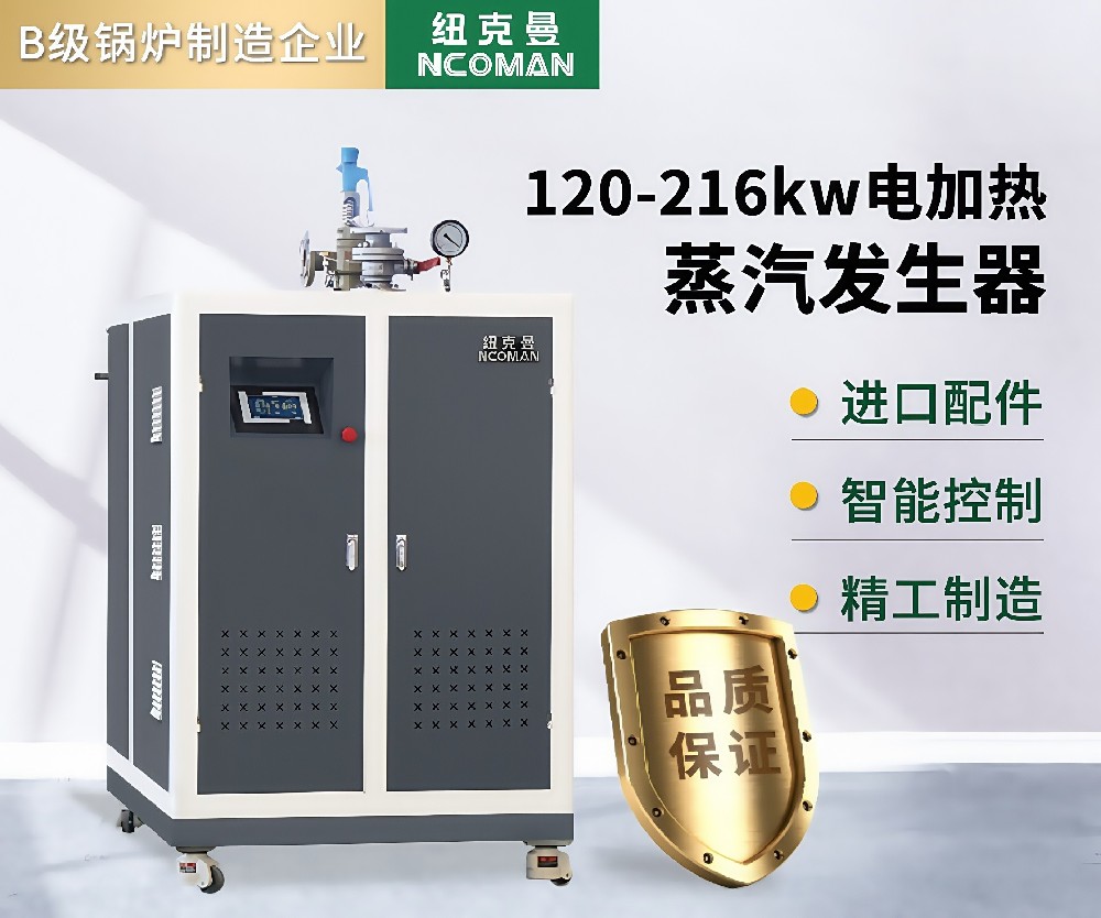200kg-400kg 电蒸汽发生器