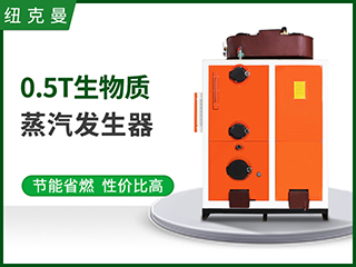 500kg生物质蒸汽发生器